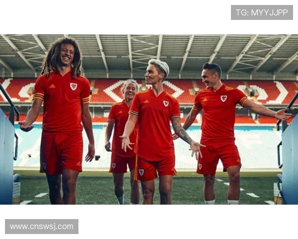 威尔士对决500球队的精彩赛事分析与战术探讨